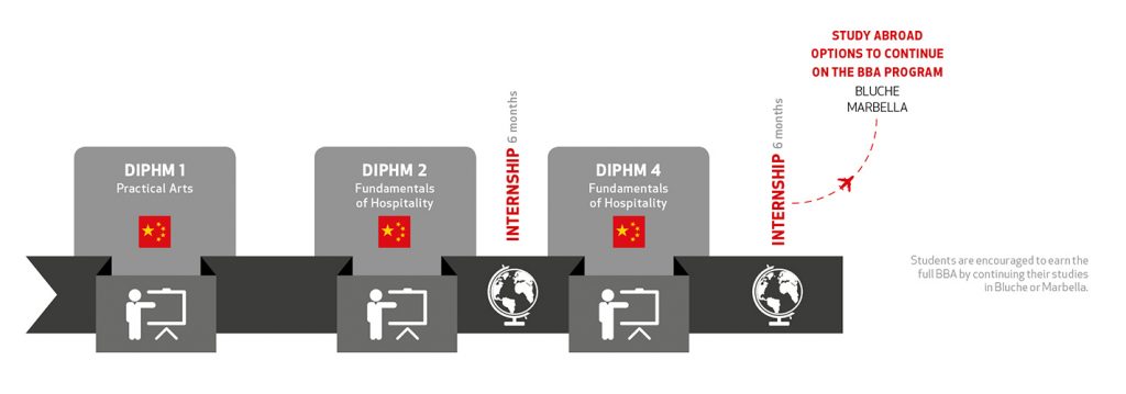 Diploma Overview